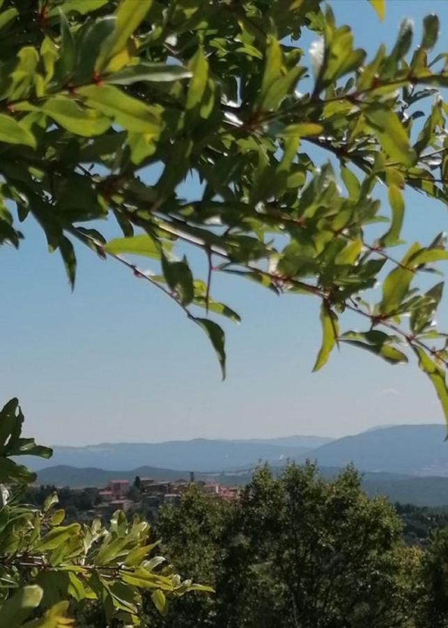 Beautiful Apartment With Exclusive Garden And Terrace Monteverdi Marittimo Dış mekan fotoğraf